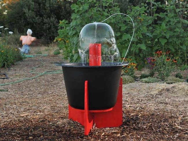Red Water Column Garden