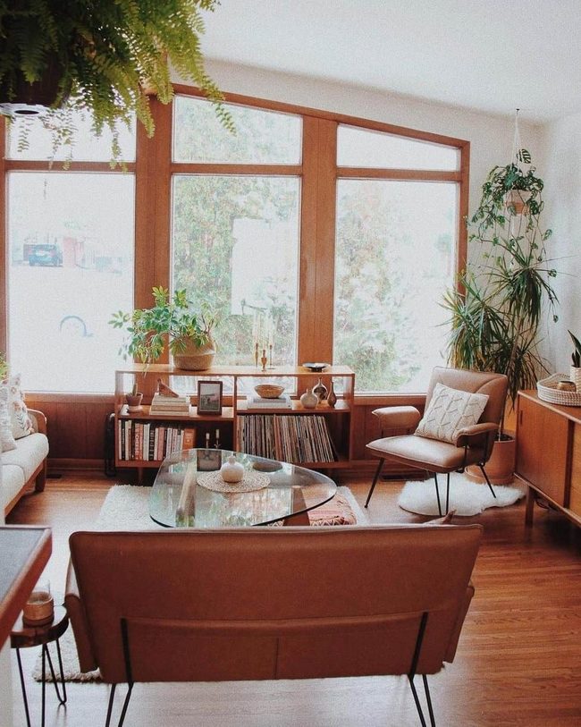 Natural Light And Living Greenery