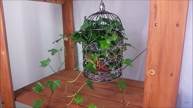 Verdant Metal Birdcage Planters