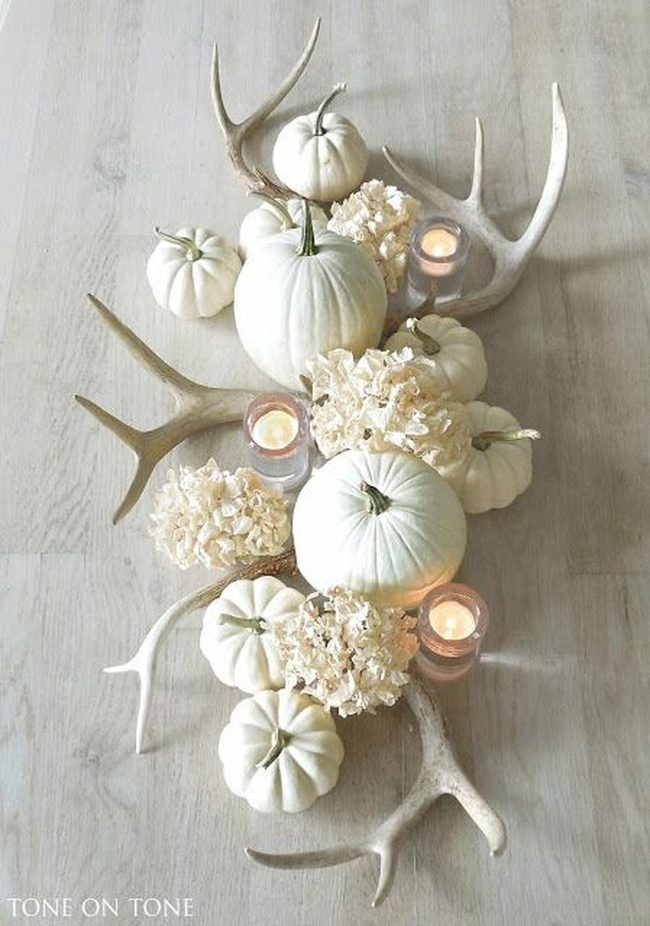 Pale Pumpkins, Antique Botanicals