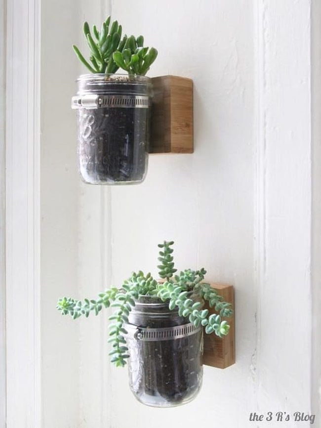 Glass Jar Vertical Gardens