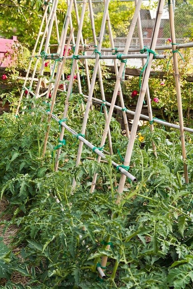 Pvc Pyramid Vegetable Tower