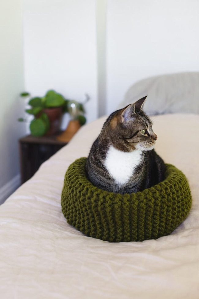 Green Knit Cat Nest
