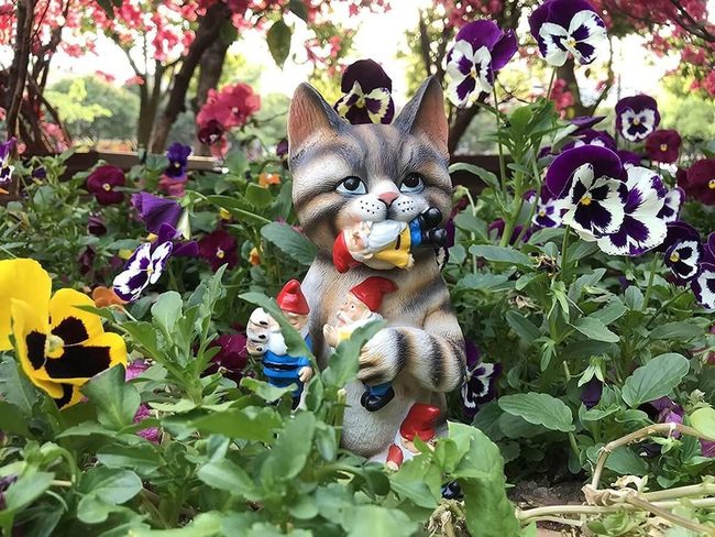 Mischievous Cat Catches Gnome