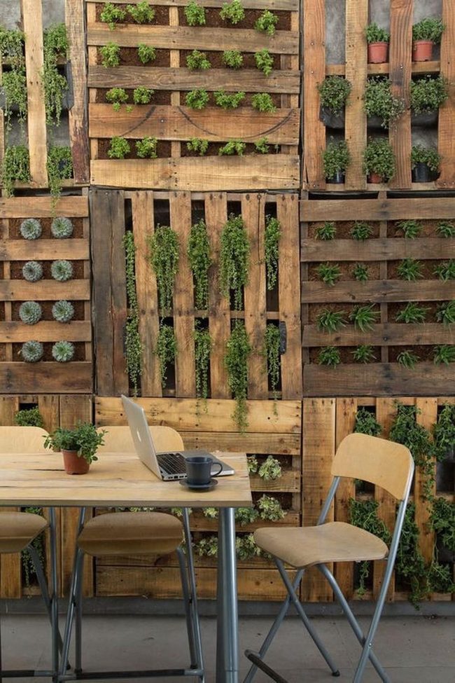 Green Foliage Meets Warm Wood