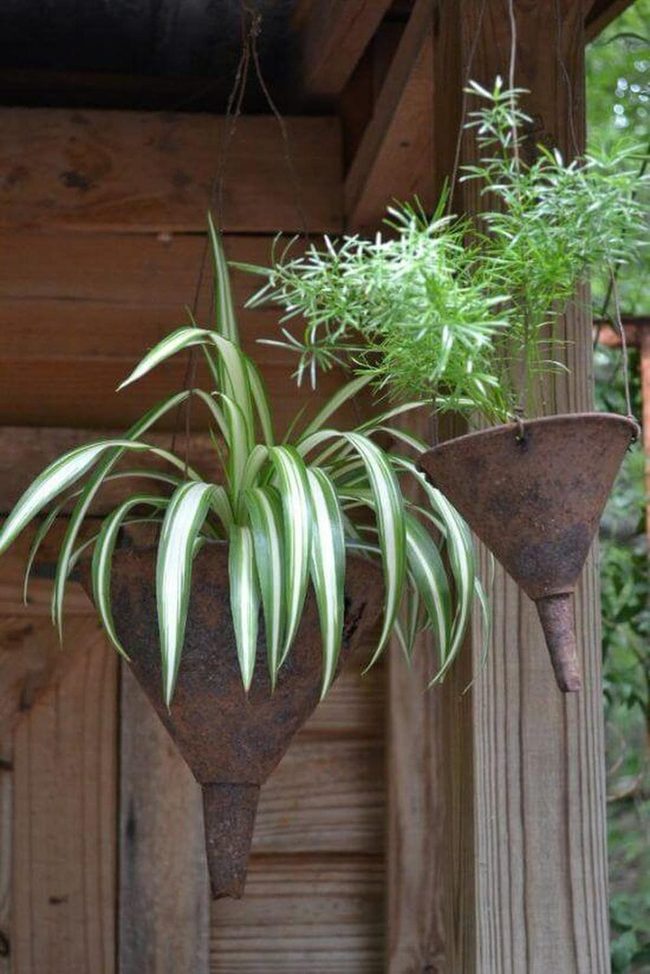Vertical Succulent Wall Garden