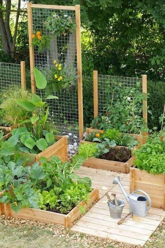 Natural Wood Garden Raised Bed