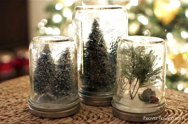 Miniature Evergreens In Glass