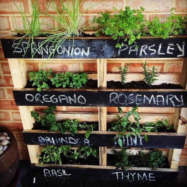 Wooden Pallet Herb Garden