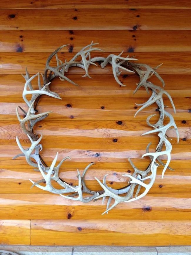 Natural Wood Grain Antler Statement