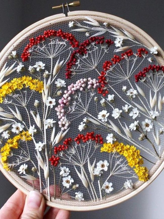 Dried Flowers In Glowing Frames