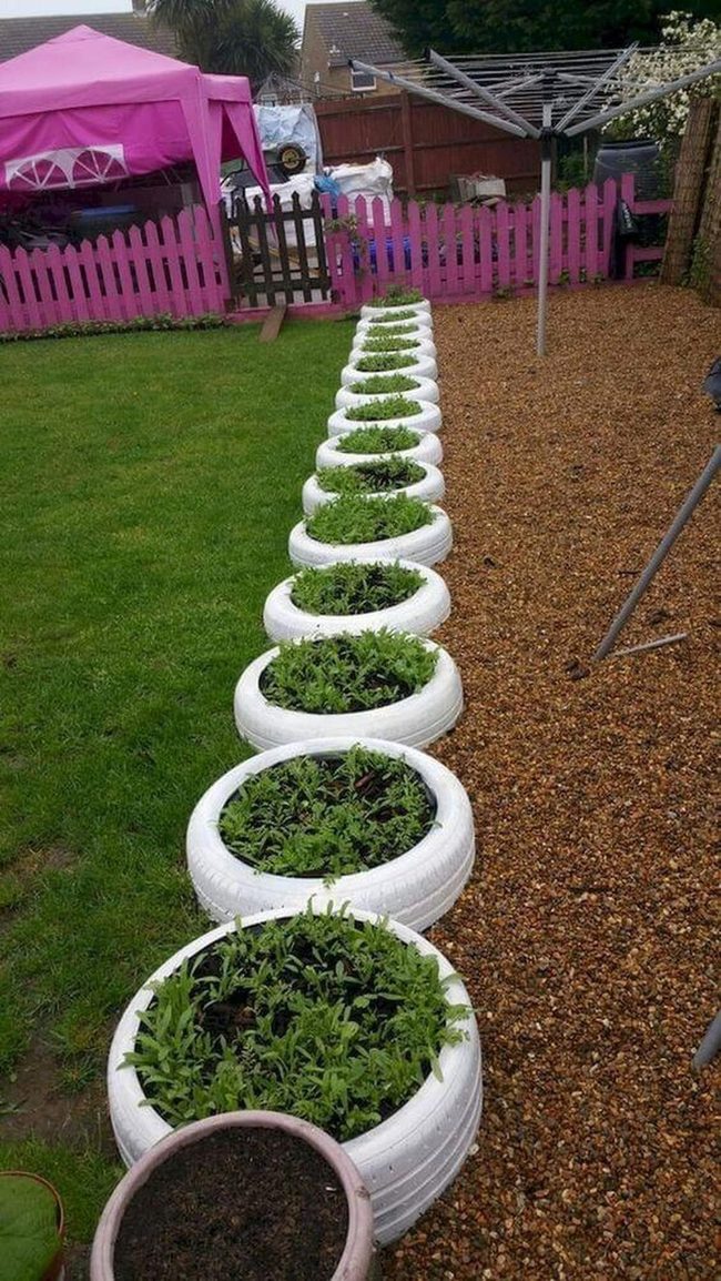 Stacked Tires, Blooming Flowers
