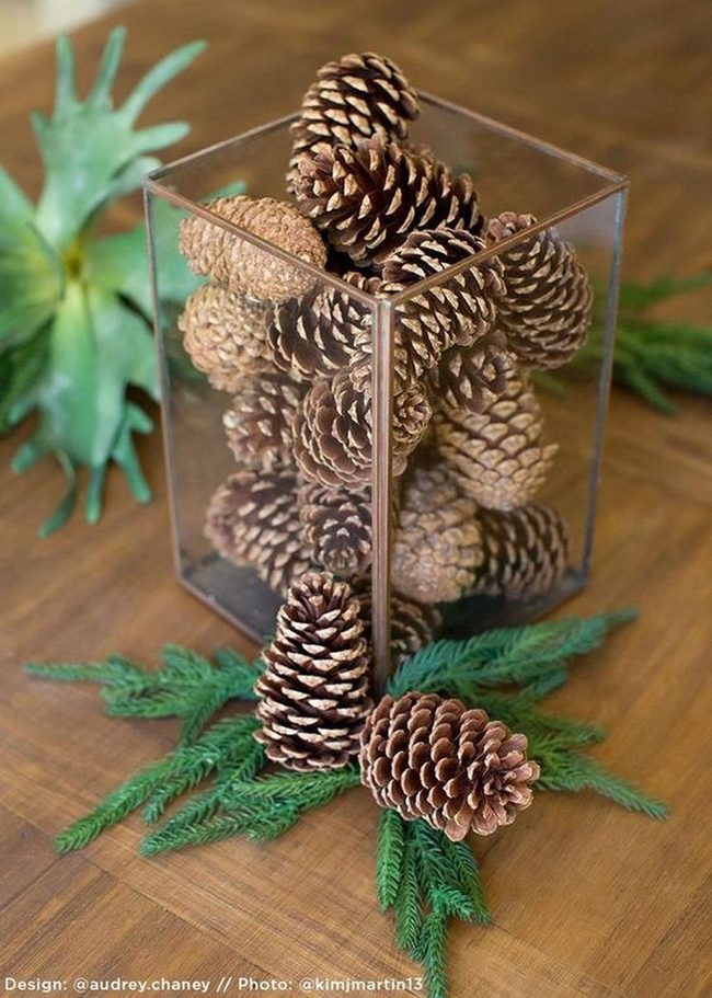 Brown Pinecones In Clear Glass