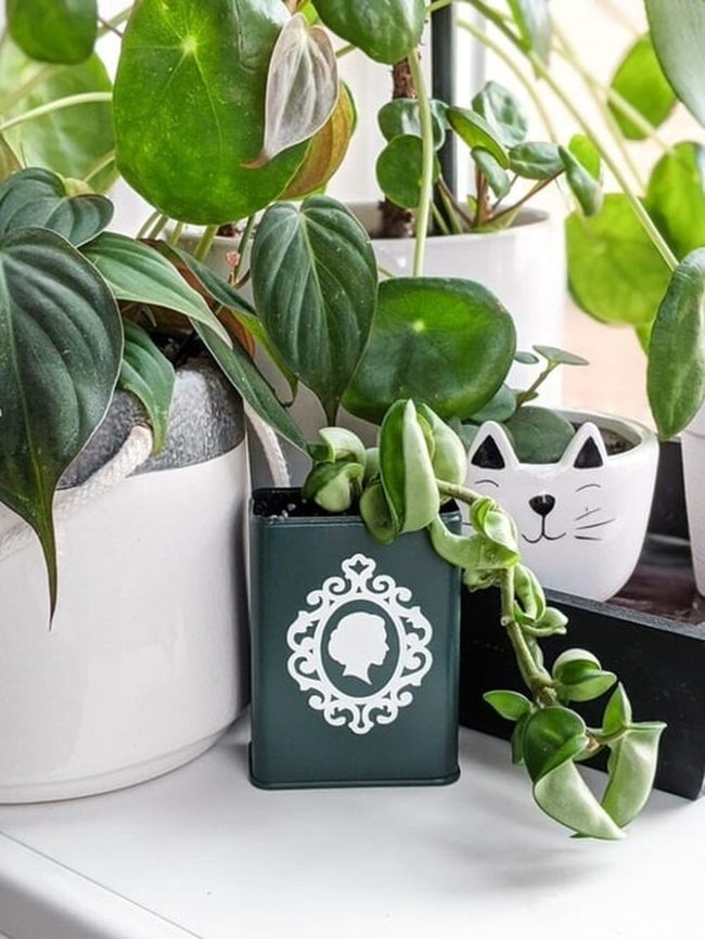 Painted Metal Plant Cans
