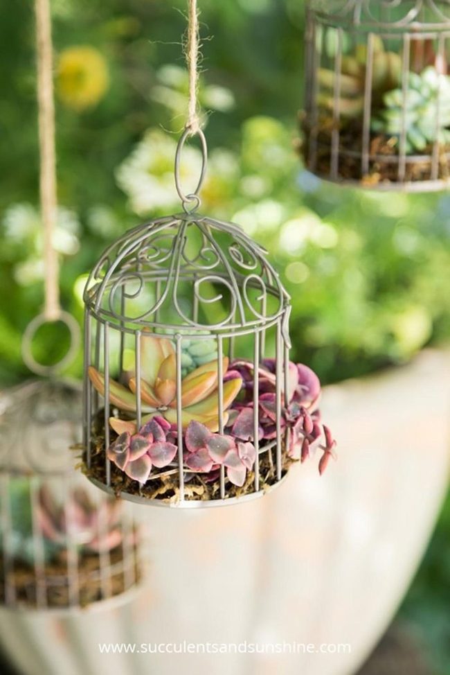 Vintage Birdcage Vertical Gardens