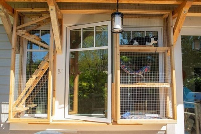 Wooden Window Cat Perch