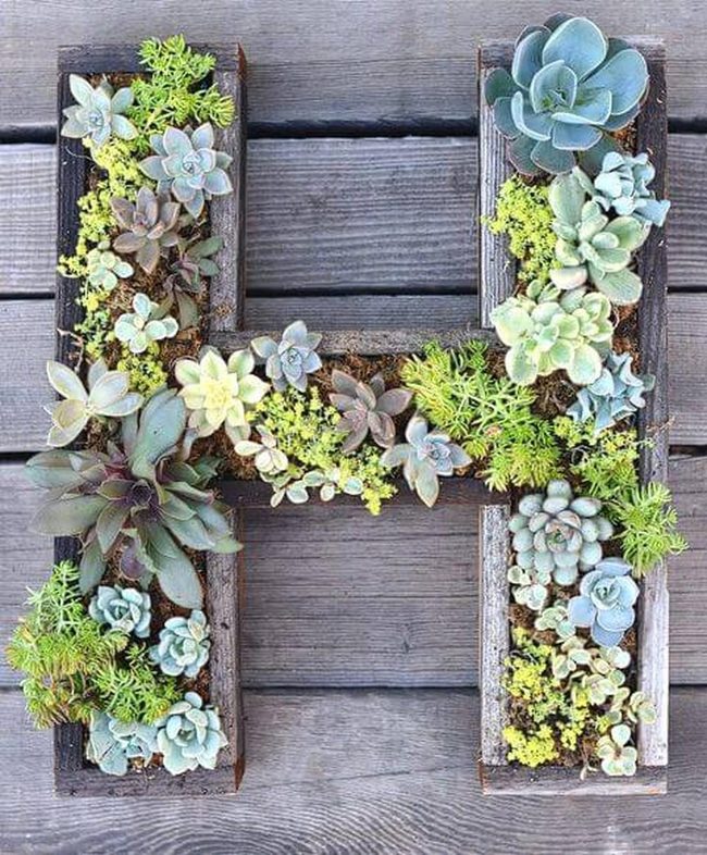 Wooden Letter Succulent Garden