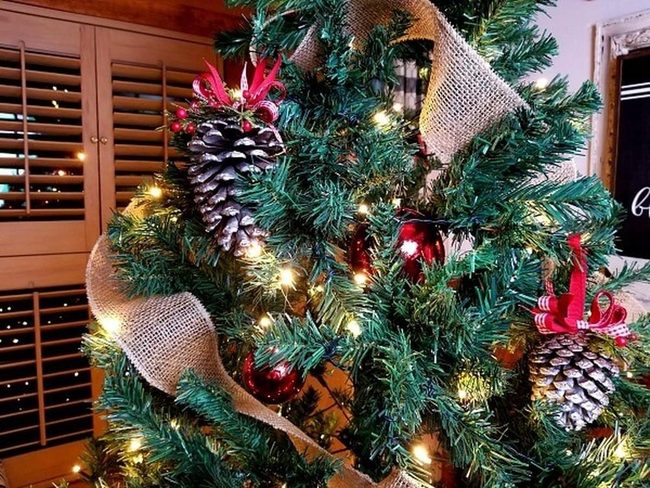 Gold-Dusted Pinecones Red Ribbons