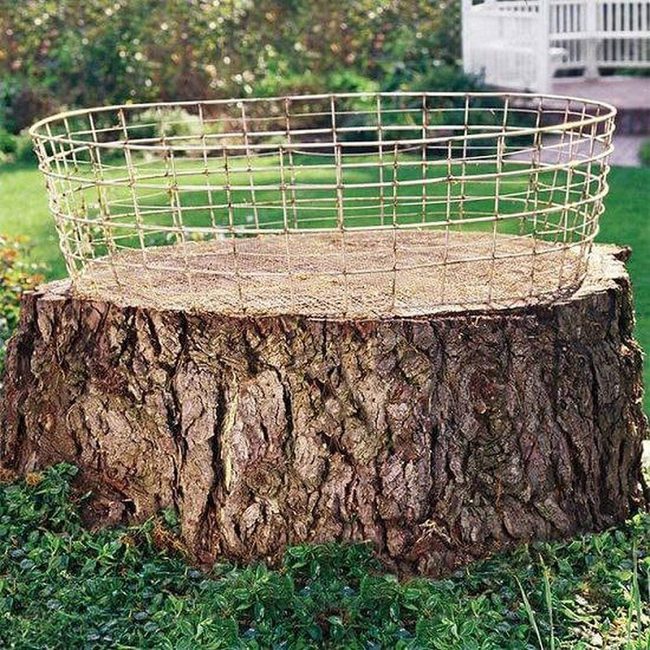Stump Gardens With Moss Base