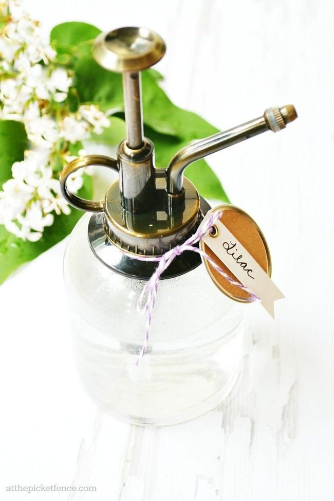 Lilac Glass Plant Mister