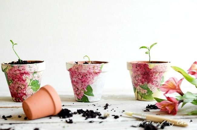 Pink Ceramic Sprouts Awakening