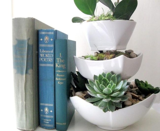 Stone And Succulent Miniatures