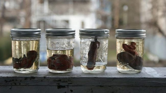 Sunlit Glass Vessels