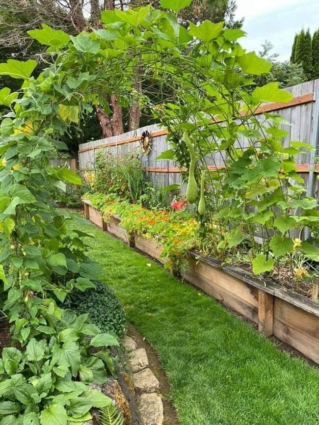 Orange Blooms Garden Archway