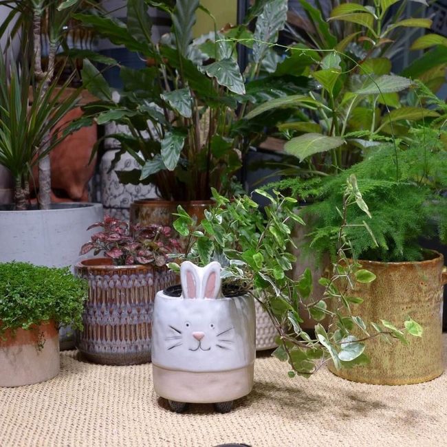 Cheerful Clay Rabbit Planter