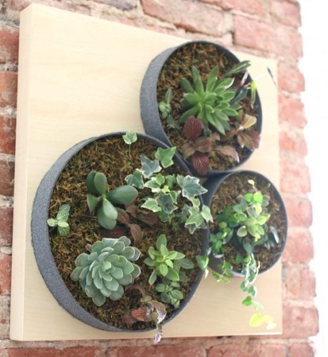 Living Green Wall Trio