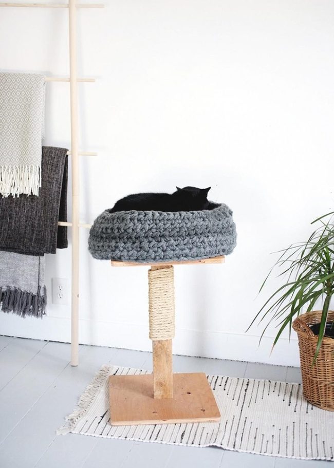 Chunky Knit Cat Bed Focal Point