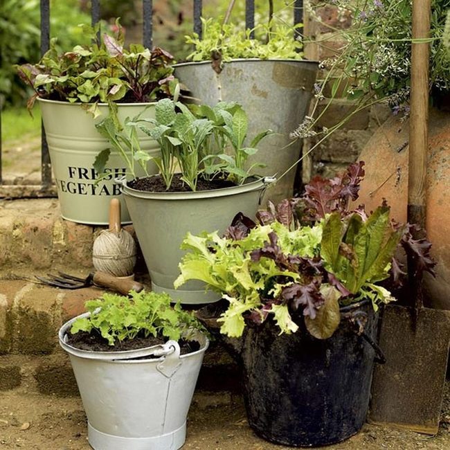 Green Metal Vegetable Buckets