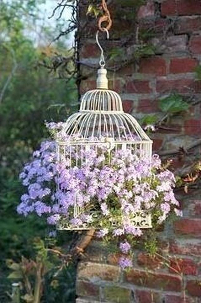 White Birdcage, Lavender Cascade