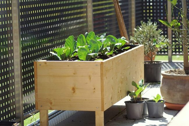 Wooden Raised Boxes Fresh Herbs