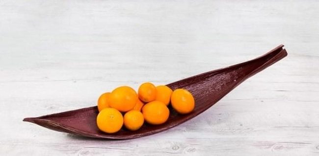 Tangerine And Timber Still Life