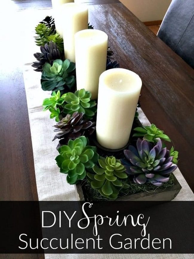 Living Succulents, Glass Elegance