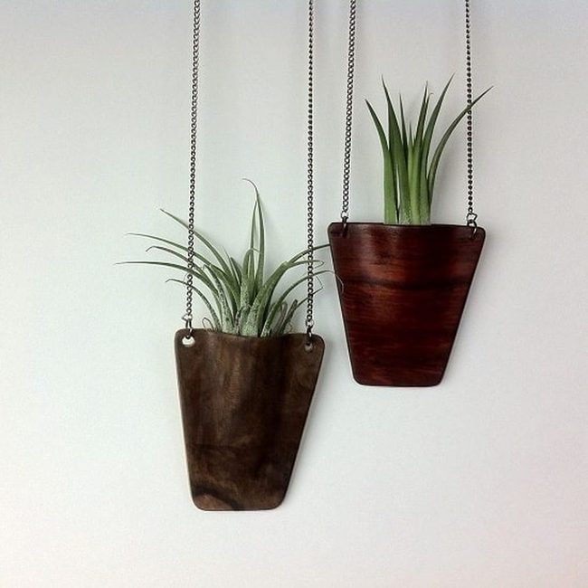 Floating Glass Botanical Spheres
