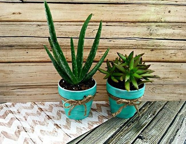 Reclaimed Wood Succulent Containers