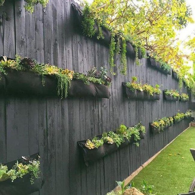 Black Walls, Green Succulents