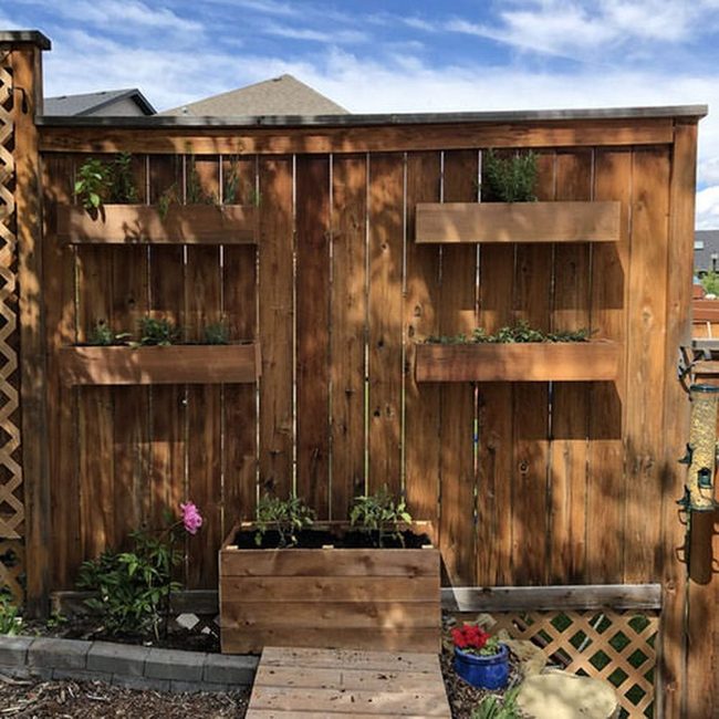 Fence-Mounted Herb Boxes