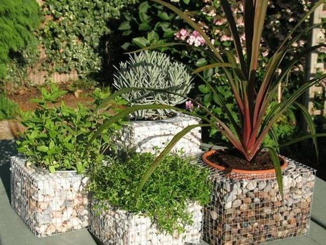 Wire Mesh Rock Planters