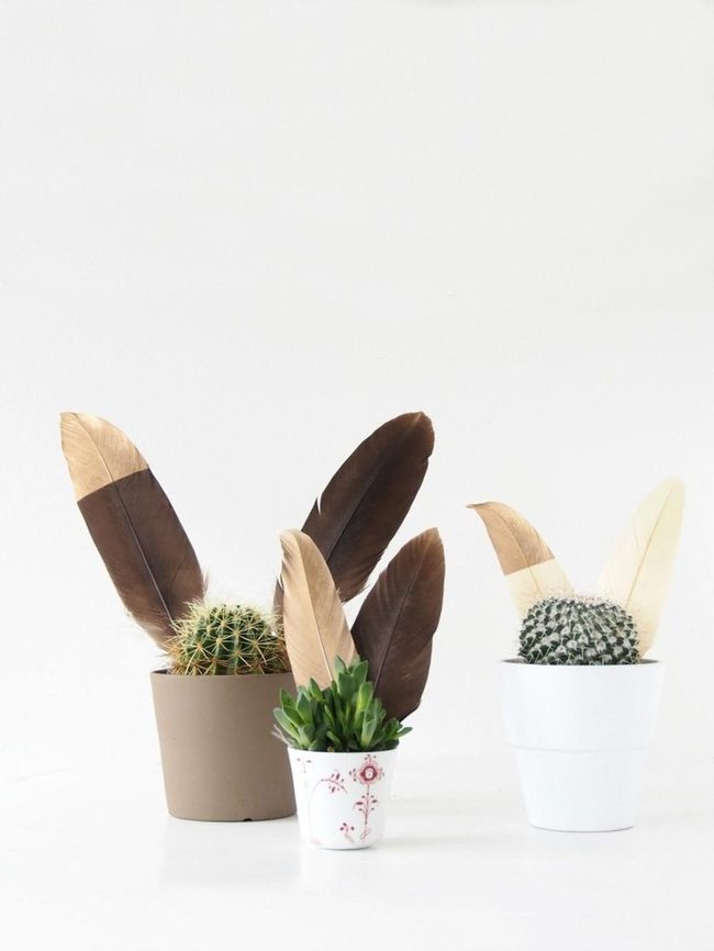 Ceramic Pots, Feathery Cacti