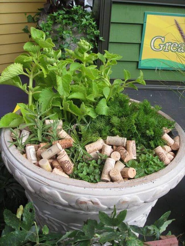 Green Herbs Brown Cork Planter