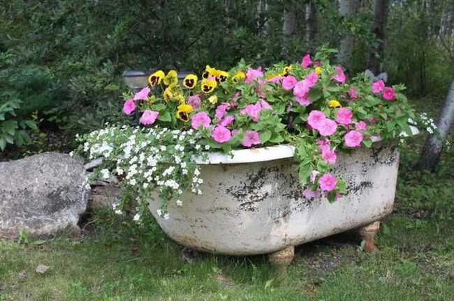 Vintage Tub Blooming Garden