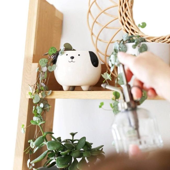 Cheerful Dog Ceramic Planter