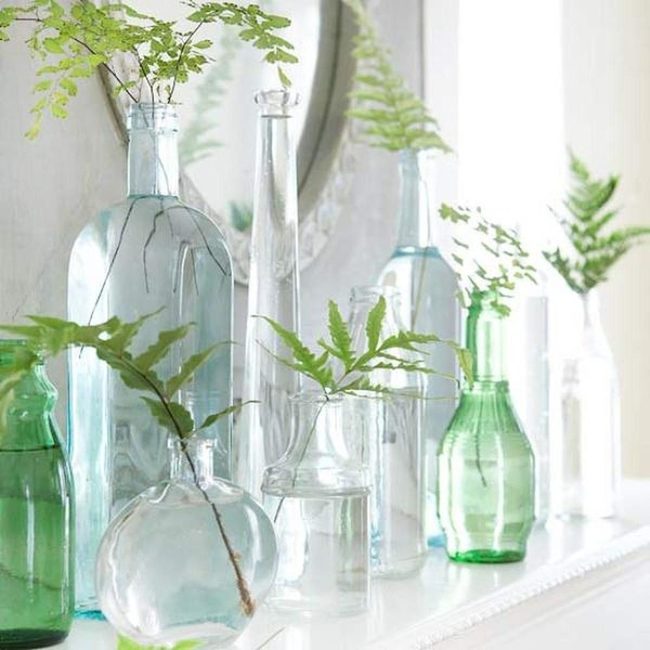 Green Ferns Through Clear Glass