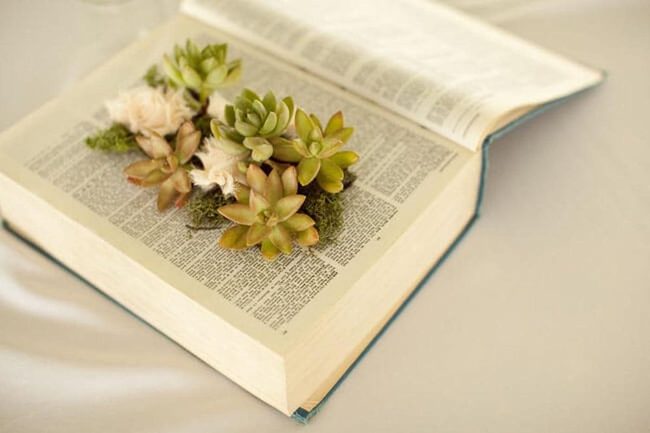 Vintage Books Blooming Succulents