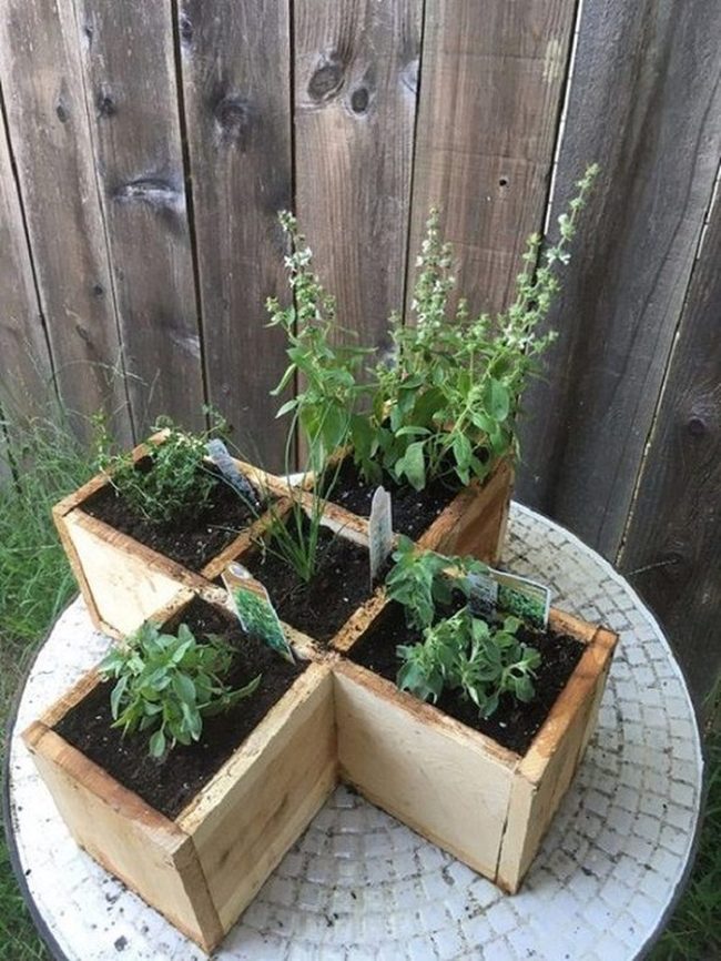 Reclaimed Wood Kitchen Herb Garden