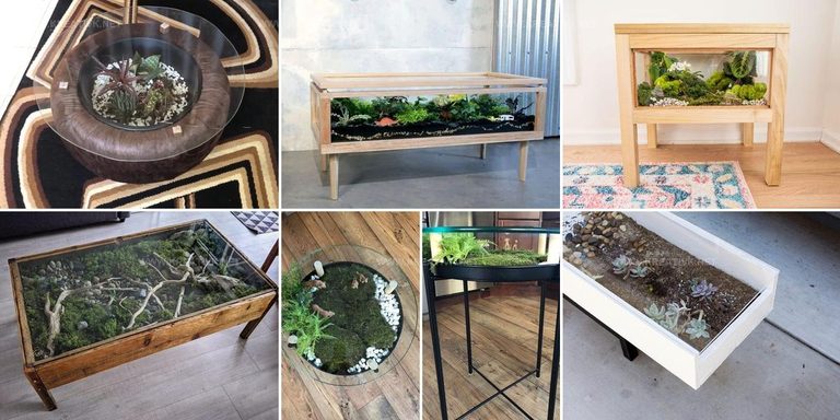 7084049 DIY Terrarium Table Ideas