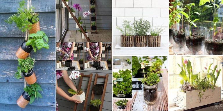 4309801 Upcycled Indoor Garden Ideas